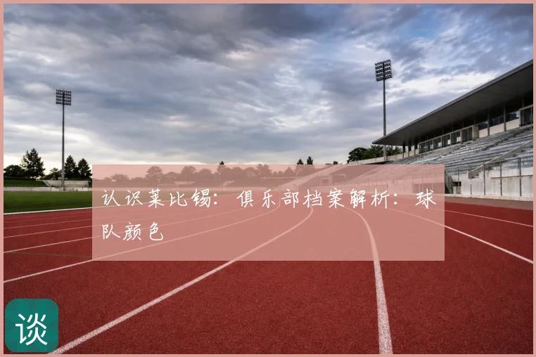 认识莱比锡:俱乐部档案解析:球队颜色